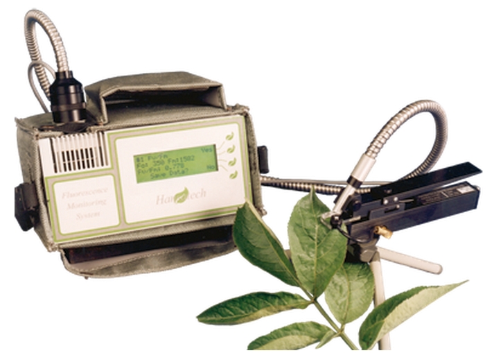 Ecotechnic Physio Fluo