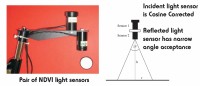 Light_NDVI.jpg